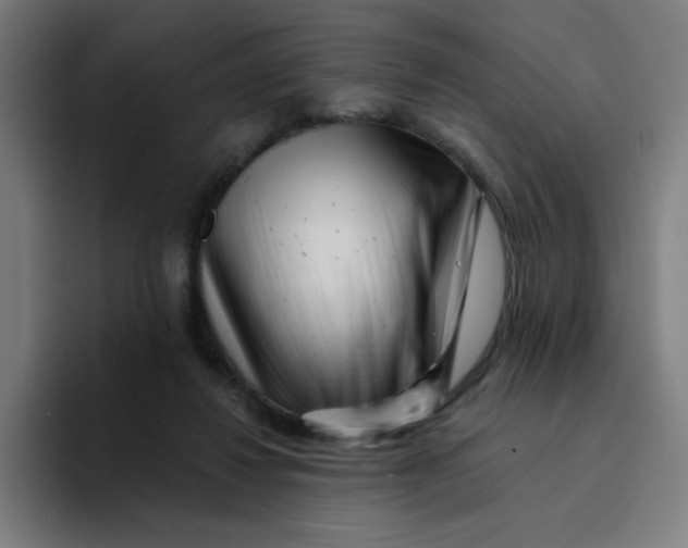 X0000094190260200711161754