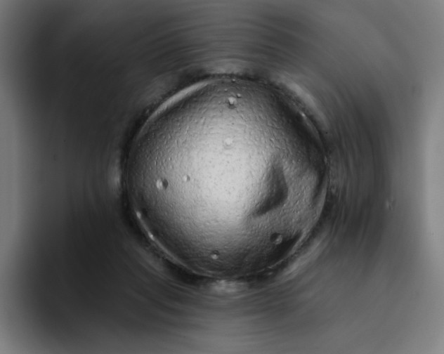 X0000094190261200711161754