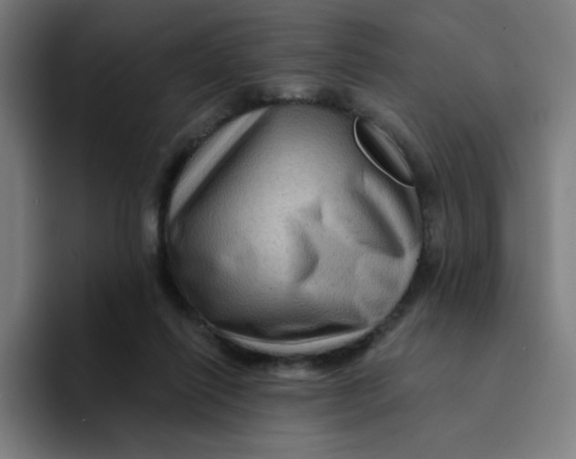 X0000094190262200711161754