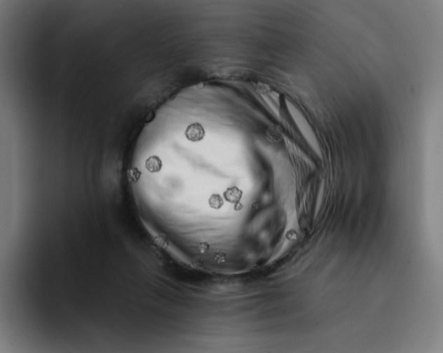 X0000094190263200711161754