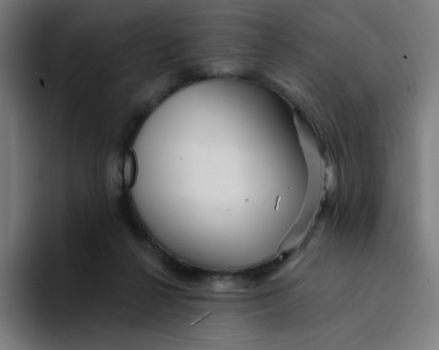 X0000094190264200711161754