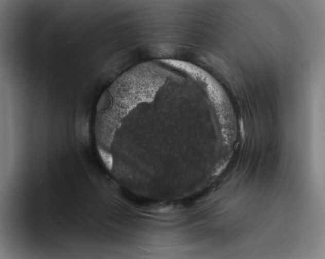 X0000094190267200711161754