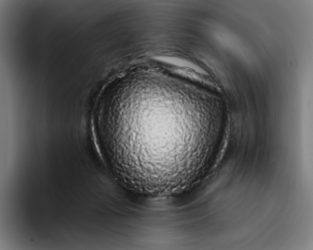 X0000094190269200711161754