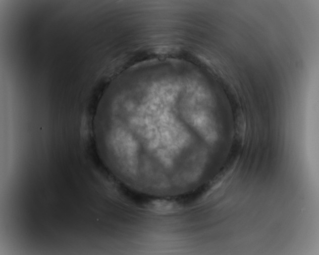 X0000094190272200711161754