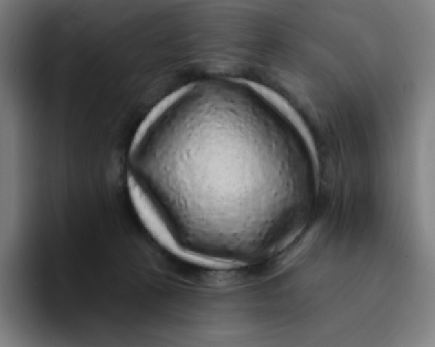 X0000094190273200711161754