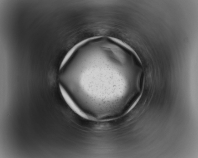 X0000094190274200711161754