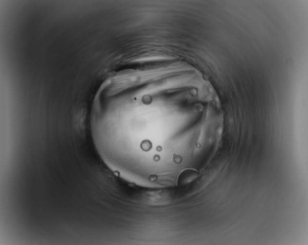 X0000094190275200711161754