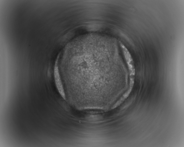 X0000094190277200711161754