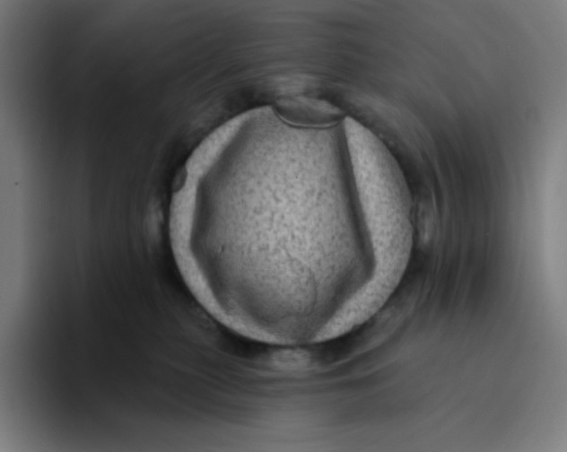 X0000094190279200711161754