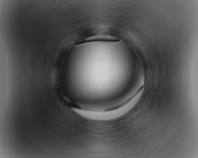 X0000094190280200711161754