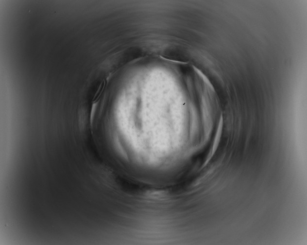 X0000094190283200711161754