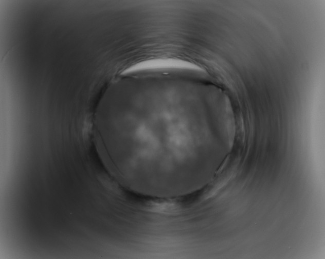 X0000094190284200711161754