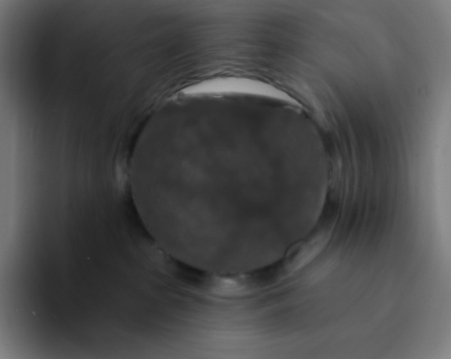 X0000094190285200711161754