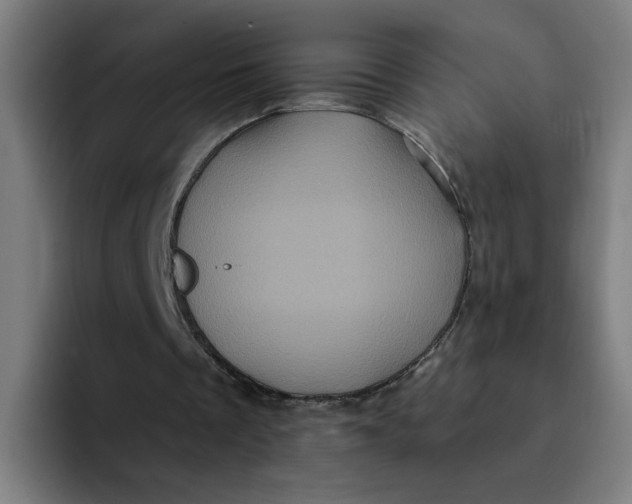 X0000094190289200711161754