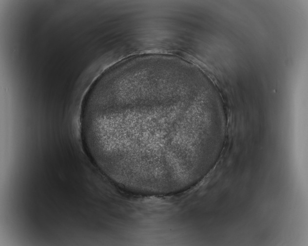 X0000094190290200711161754