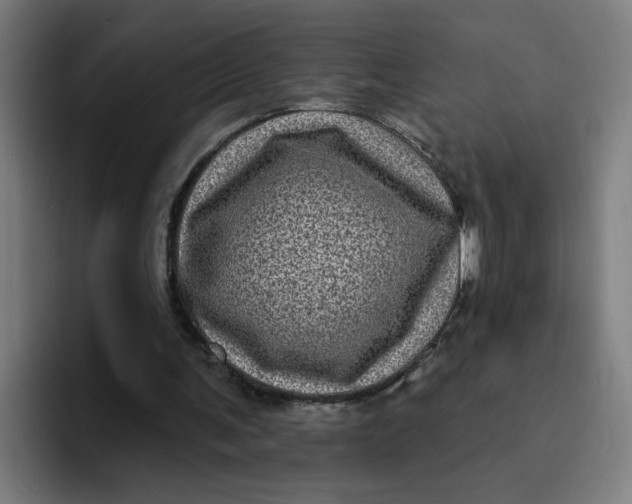 X0000094190291200711161754