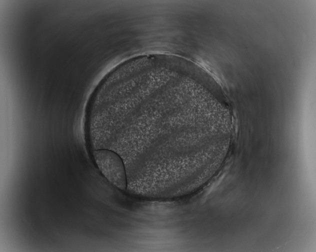 X0000094190292200711161754