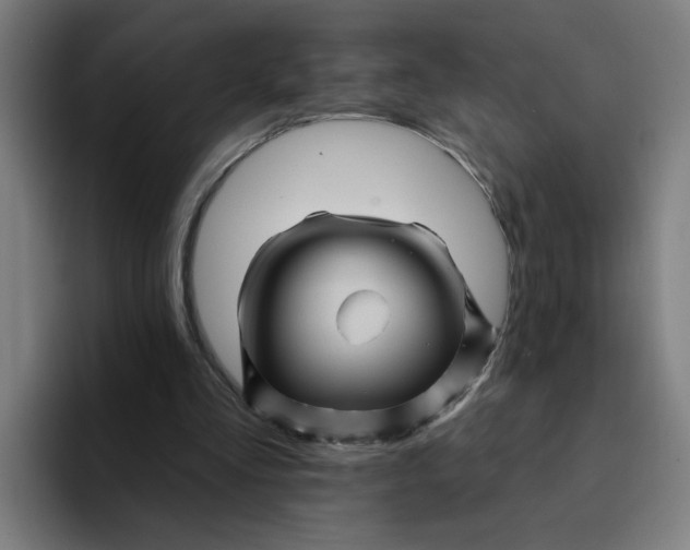 X0000094190293200711161754