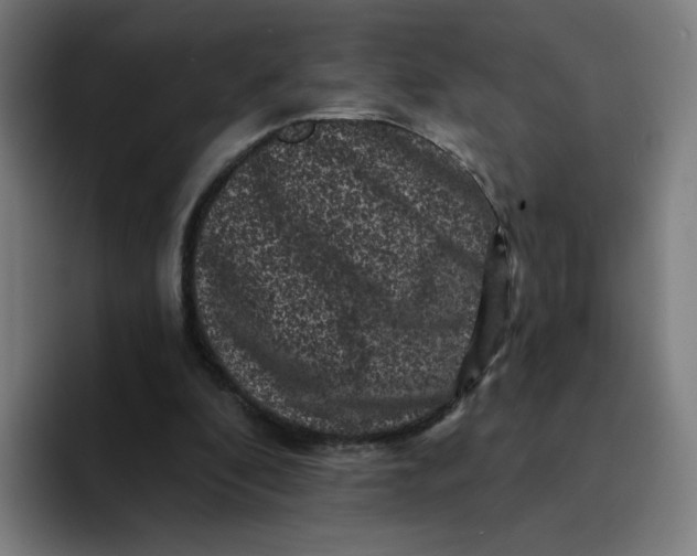 X0000094190296200711161753