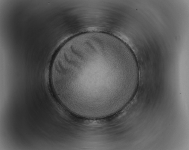 X0000094190297200711161753