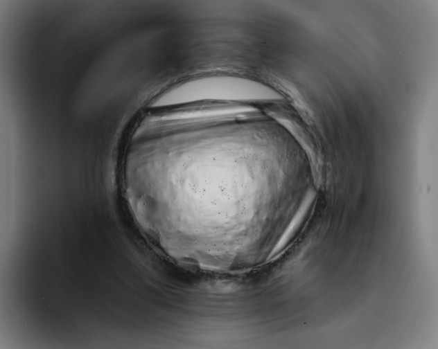 X0000094190299200711161753