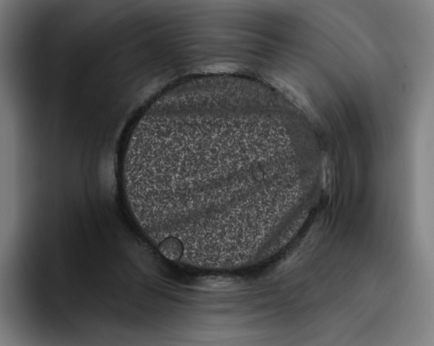 X0000094190300200711161753