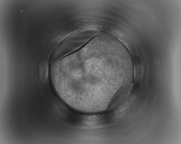 X0000094190301200711161753