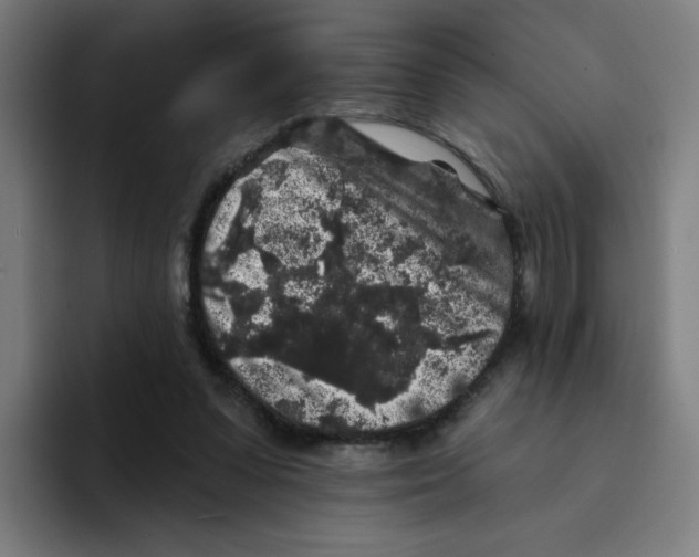 X0000094190303200711161753