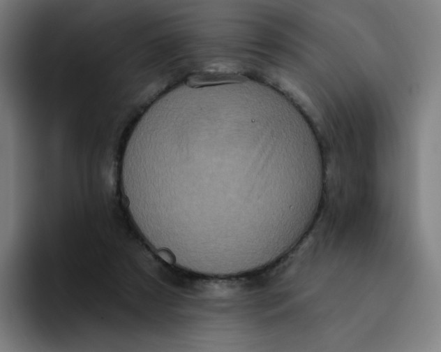 X0000094190305200711161753