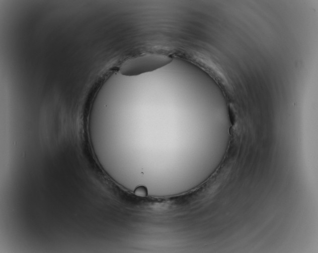 X0000094190306200711161753