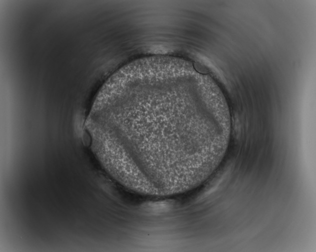 X0000094190307200711161753