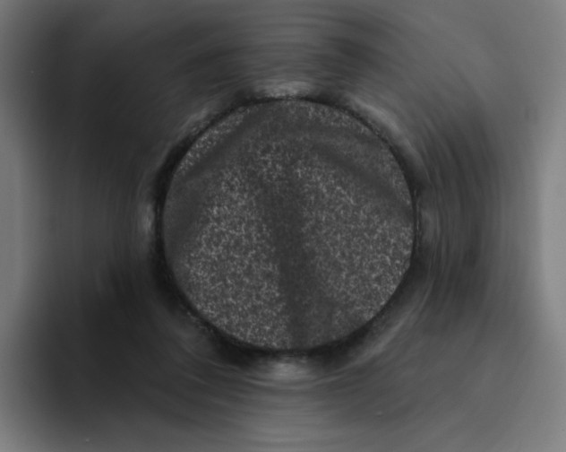 X0000094190308200711161753