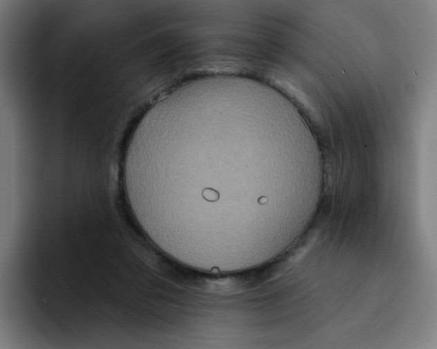 X0000094190309200711161753