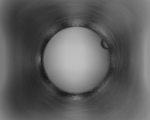 X0000094190310200711161753