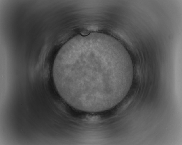 X0000094190311200711161753