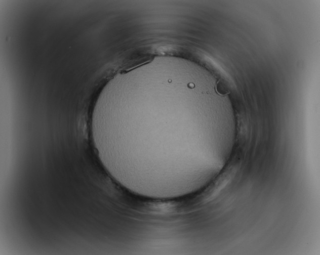 X0000094190313200711161753