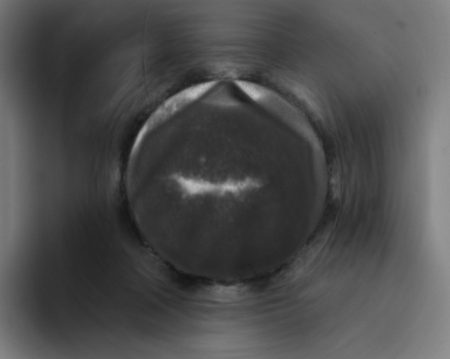 X0000094190314200711161753