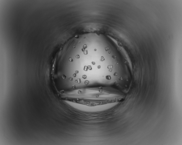 X0000094190315200711161753