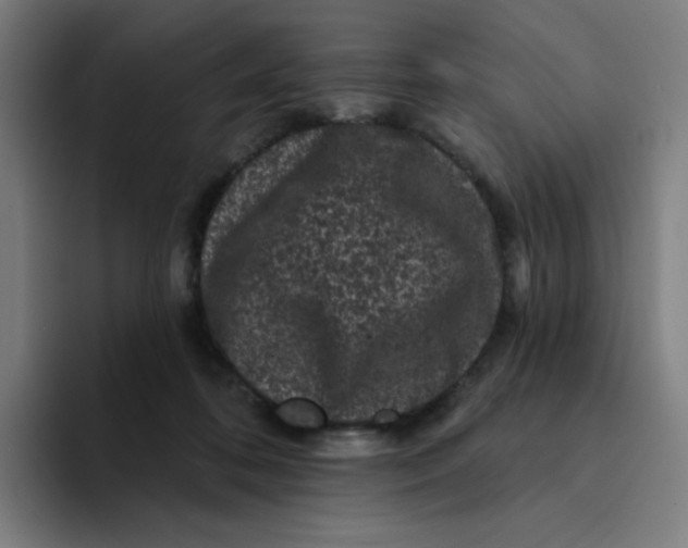 X0000094190316200711161753