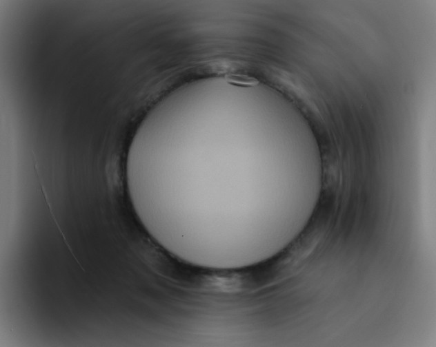 X0000094190317200711161753