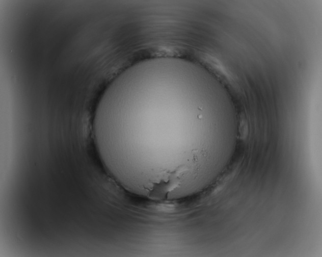 X0000094190318200711161753