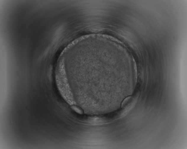 X0000094190319200711161753