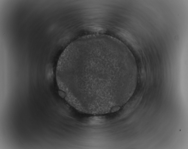 X0000094190320200711161753