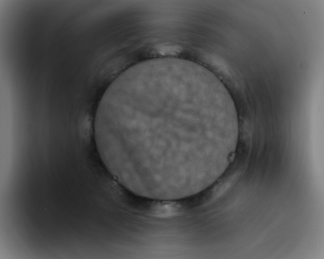 X0000094190321200711161753