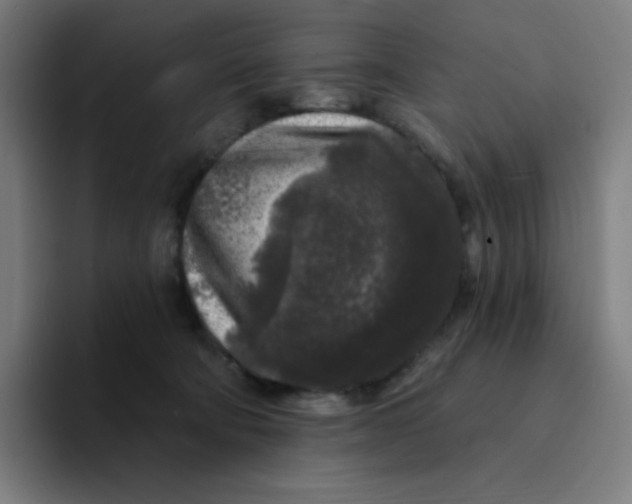 X0000094190322200711161753