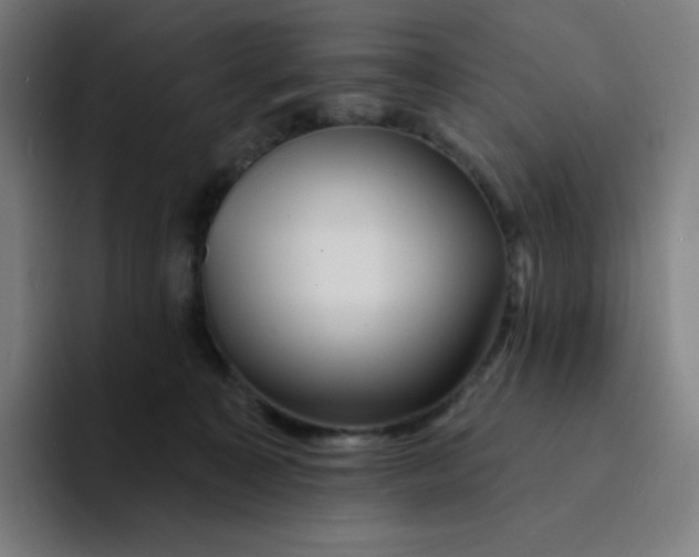 X0000094190323200711161753