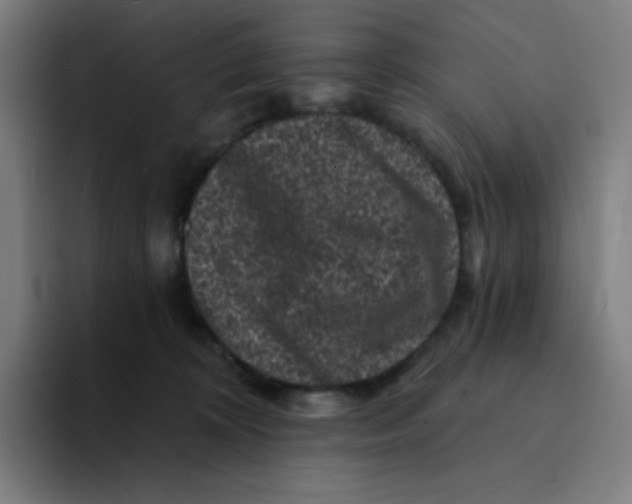 X0000094190324200711161753