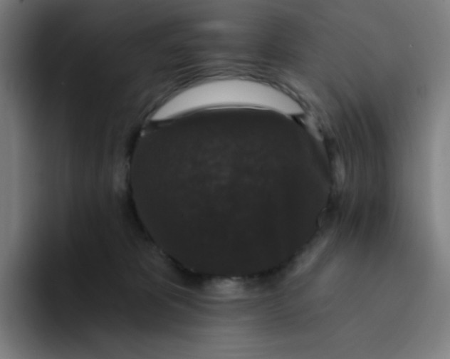 X0000094190325200711161753