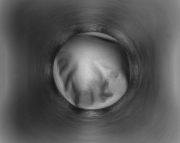 X0000094190326200711161753