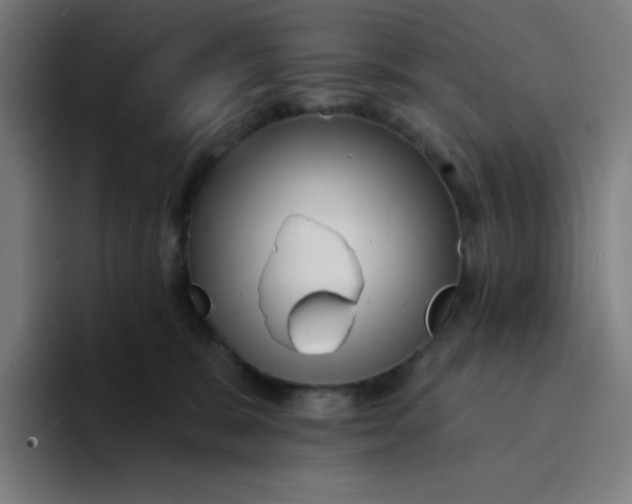 X0000094190327200711161753